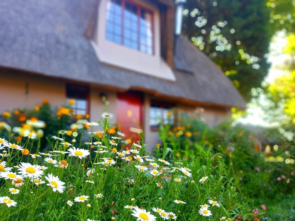 Granny Mouse Country House & Spa Balgowan Zewnętrze zdjęcie